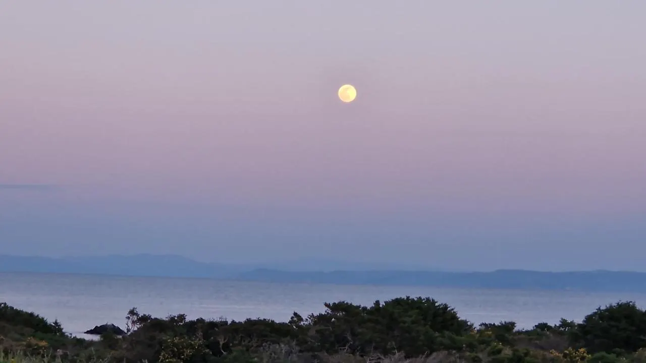 Vila Punta Negra Holyday Stintino Itálie